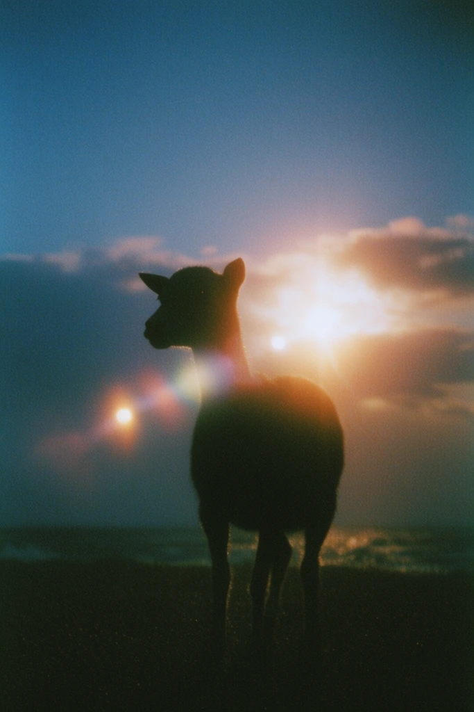 Ethereal Twilight Nostalgia style AI image example 3