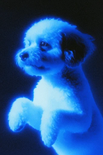 Luminous Cobalt Nocturne style reference image — retro-futuristic telemetry