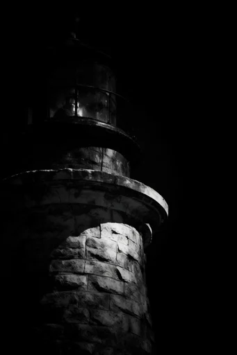 Monochrome Chiaroscuro Minimalism style reference image — macro texture detail
