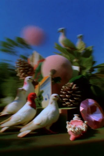 Kinetic Sun-Drenched Surrealism style reference image — dynamic motion blur