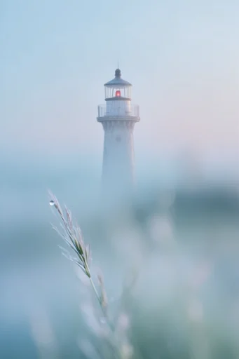 Luminous Ethereal Macro style reference image — pastel color palette
