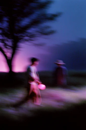 Spectral Nocturnal Blur style reference image — spectral distortion