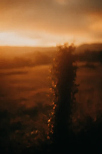 Dusty Sepia Dreamscape style reference image — analog film grain