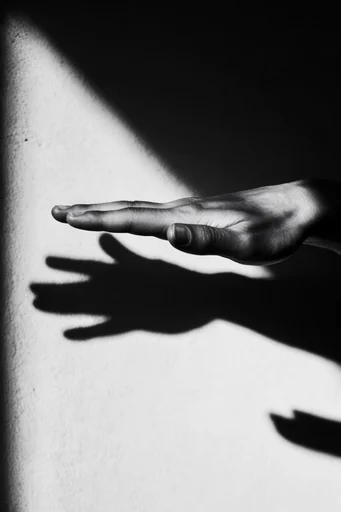Stark Noir Minimalism style reference image — dramatic geometric shadows