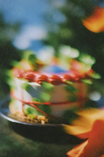 Kinetic Dreamcore Analog style reference image — soft focus glow