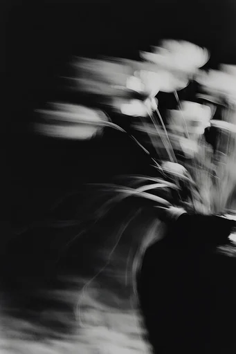 Kinetic Spectral Monochrome style reference image — ethereal ghostly movement