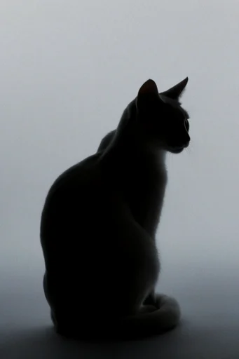Monochromatic Sculptural Silhouette style reference image — sculptural form
