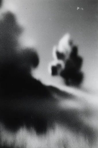 Ethereal Noir Pictorialism style AI image example 2