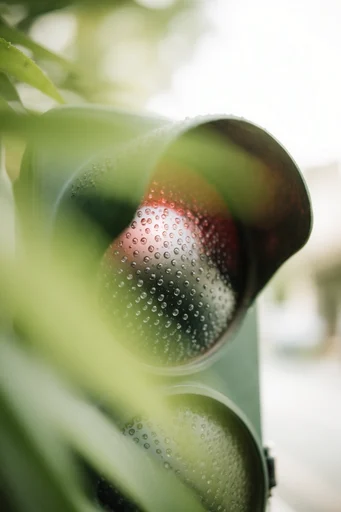 Refracted Organic Minimalism style reference image — botanical macro minimalism