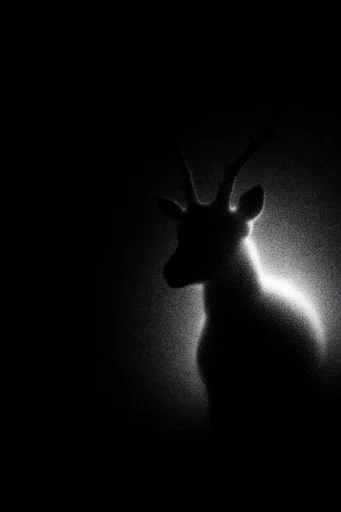 Spectral Chiaroscuro Noir style AI image example 3