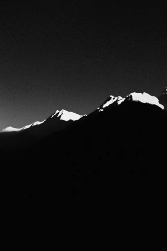 Cinematic Monochrome Noir style reference image — high-contrast black and white