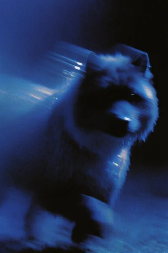 Kinetic Nocturnal Blur style reference image — chromatic aberration
