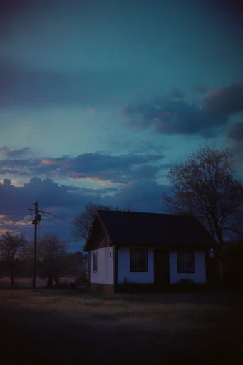 Cinematic Nocturnal Introspection style reference image — cool blue and slate tones
