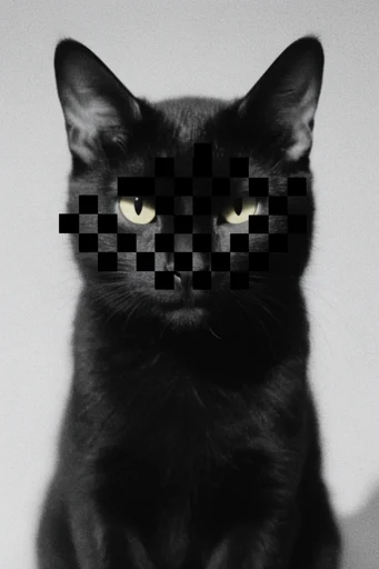 Monochrome Digital Decay style reference image — datamoshing