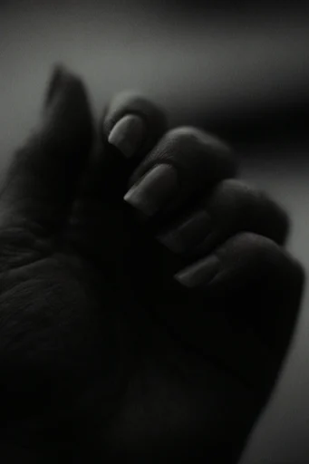 Cinematic Noir Grain style reference image — low-key noir