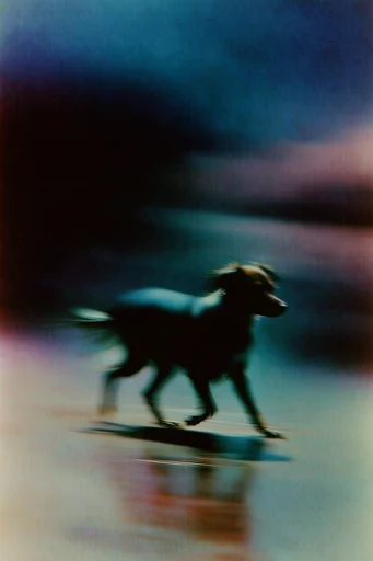 Ethereal Motion Blur style reference image — nocturnal glow