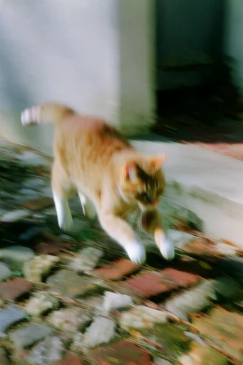 Kinetic Nostalgic Blur style reference image — dreamy long exposure