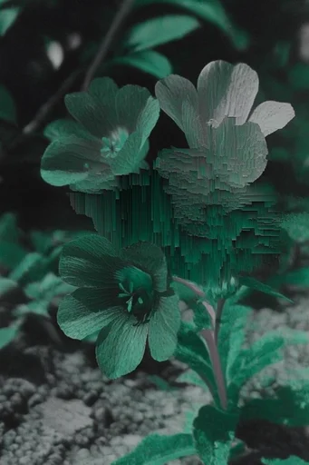 Digital Chlorophyll Glitch style reference image — digital disintegration