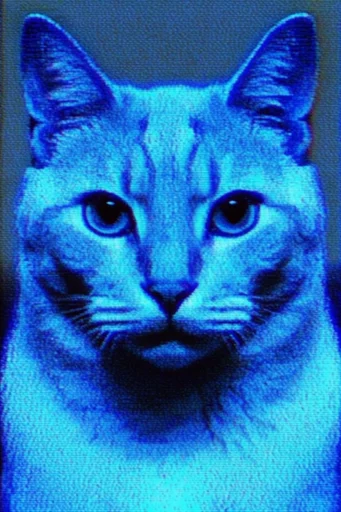 Electric Noir Glitch style reference image — CRT scanlines