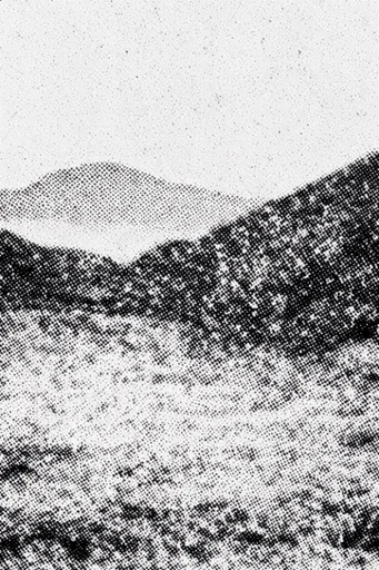 Monochrome Halftone Graphic style reference image — vintage risograph print