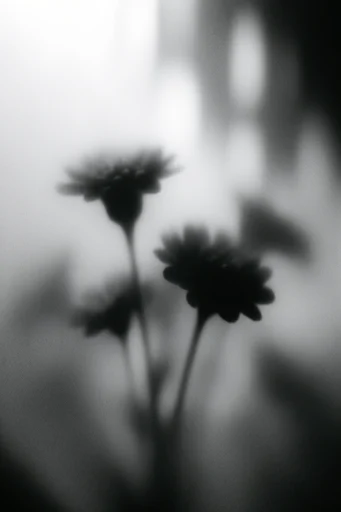 Ethereal Monochrome Noir style reference image — dreamlike noir