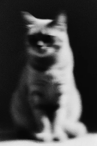 Spectral Monochrome Noir style reference image — spectral silhouette