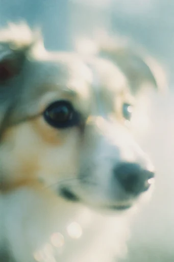 Ethereal Analog Melancholy style reference image — introspective melancholy