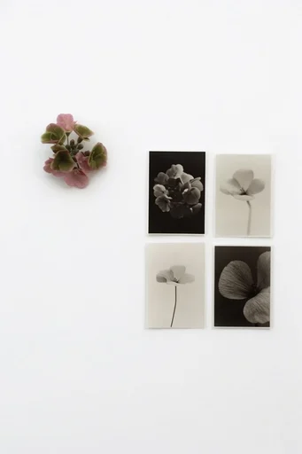 Deconstructed Archival Minimalism style reference image — muted earth tones
