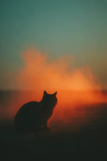 Cinematic Nocturnal Analog style reference image — surreal color palette