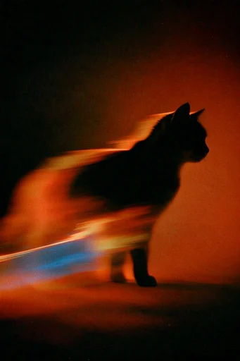 Analog Thermal Noir style reference image — cinematic light leaks