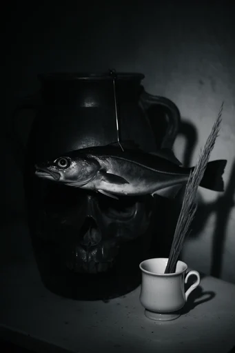 Cinematic Nocturnal Noir style reference image — high contrast chiaroscuro