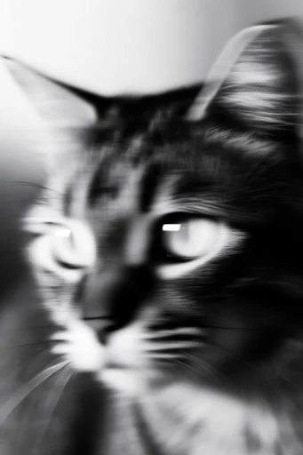 Ethereal Monochrome Motion style reference image — frosted glass texture