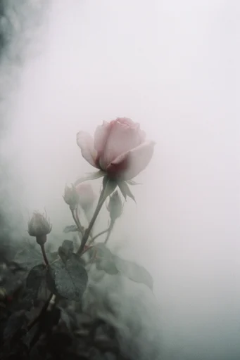 Atmospheric Liminal Melancholia style reference image — liminal space