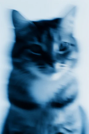Spectral Glacial Motion style reference image — ethereal ghosting