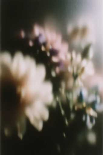 Ethereal Haptic Impressionism style reference image — vintage film grain