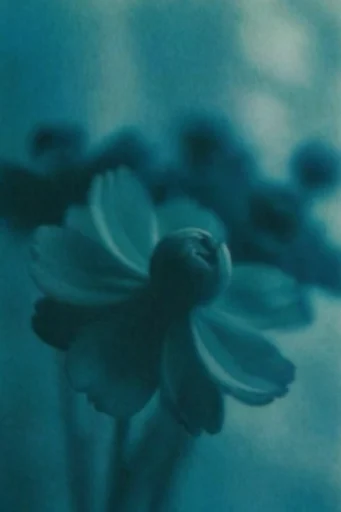 Ethereal Nocturnal Blur style reference image — lo-fi analog aesthetic