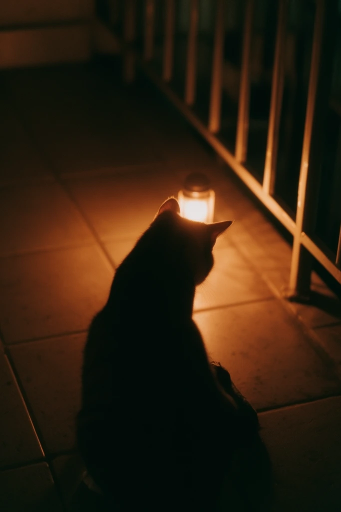 Cinematic Nocturnal Noir style AI image example 3