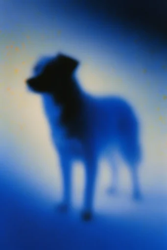 Ethereal Nocturnal Blur style reference image — nocturnal atmospheric glow
