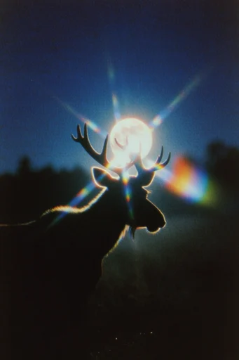 Nocturnal Prismatic Cinematic style reference image — chromatic aberration