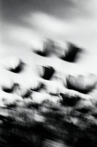 Ethereal Monochromatic Motion style reference image — atmospheric abstraction