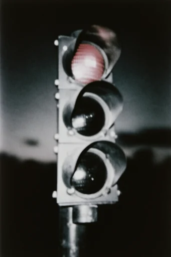 Cinematic Monochrome Noir style reference image — heavy film grain