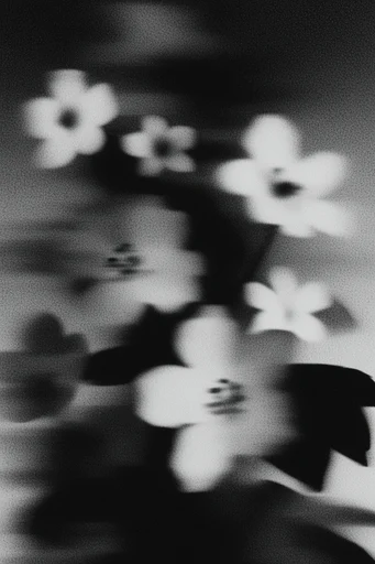 Textured Monochrome Noir style reference image — motion blur