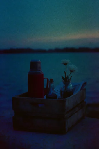 Cinematic Nocturnal Realism style reference image — cinematic blue hour lighting