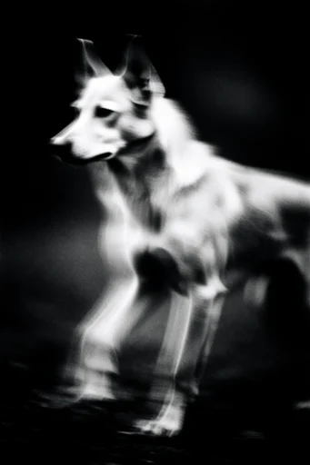 Spectral Motion Noir style AI image example 3