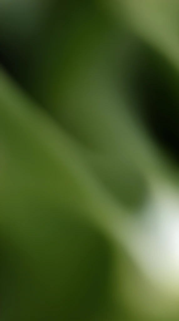 A heavily blurred, abstract composition of smooth, flowing gradients in forest green and mossy tones. The out-of-focus texture suggests extreme macro photography of lush botanical foliage. Soft, diffused lighting creates a bright, hazy highlight near the lower right edge, contrasted by darker shadowed recesses in the upper corners. The minimalist scene is defined entirely by gentle, undulating color transitions and a shallow depth of field.