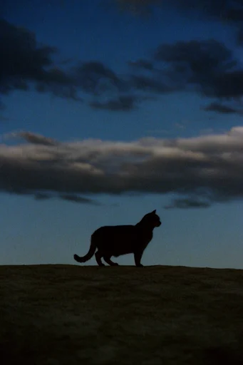 Cinematic Minimalist Liminality style reference image — low horizon