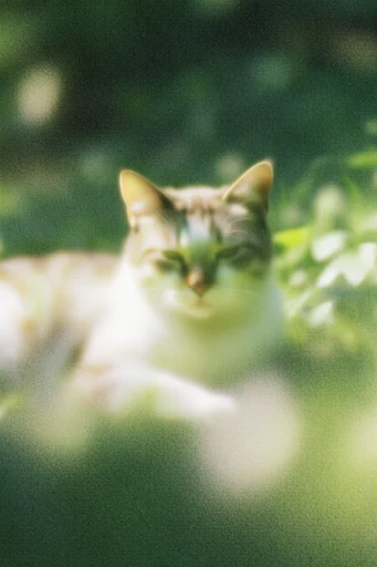 Ethereal Impressionist Motion style reference image — dappled light