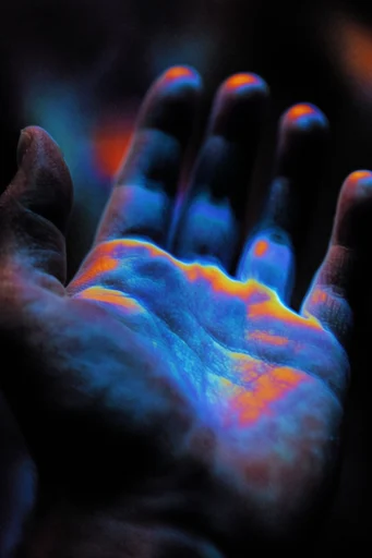 Luminescent Macro Biometrics style reference image — thermal imaging influence