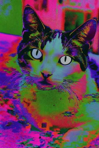 Acidic Cyber-Zine Punk style reference image — thermal solarization