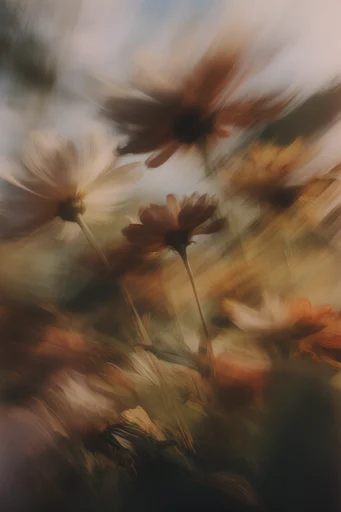 Tactile Organic Impressionism style reference image — dreamy painterly atmosphere